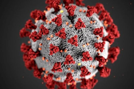 featured image for the link