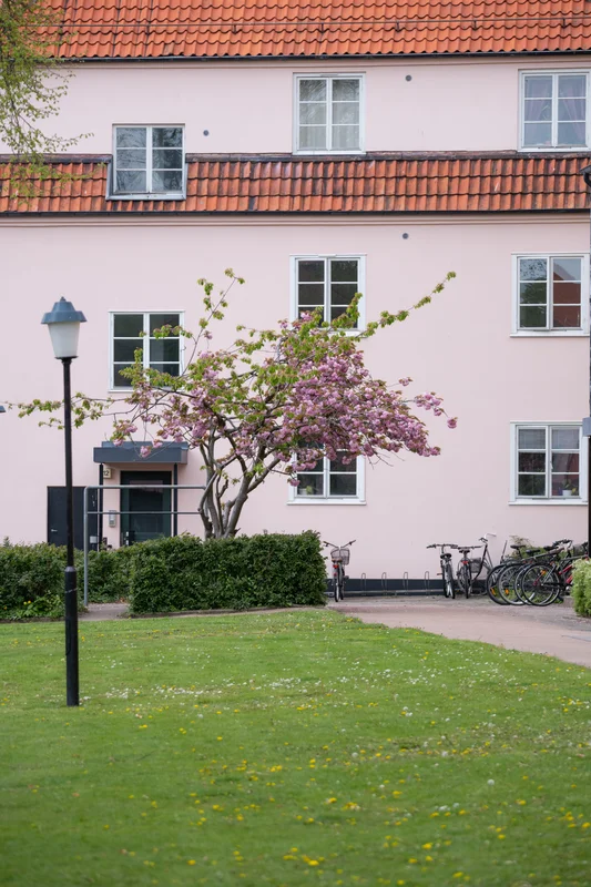 Bryggargatan 19